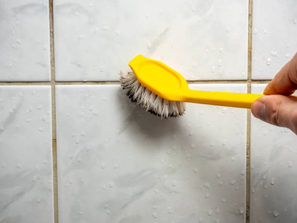 Best DIY Mold Remediation Support Services in Lone Grove, OK