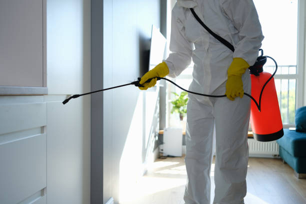 Best Residential Mold Remediation in Lone Grove, OK