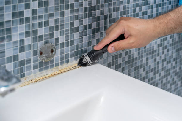 Best Health and Safety Mold Remediation in Lone Grove, OK